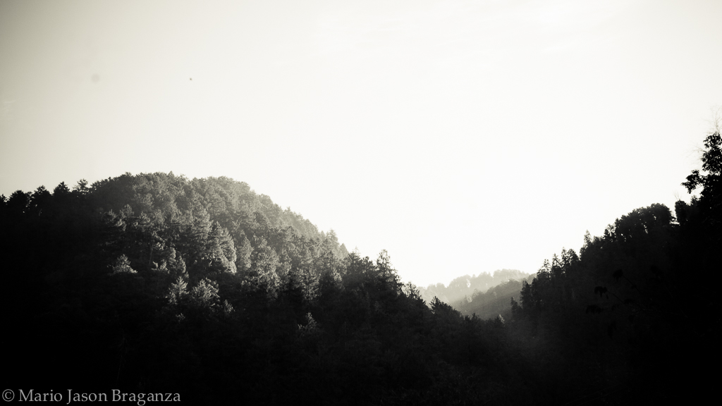 Dalhousie