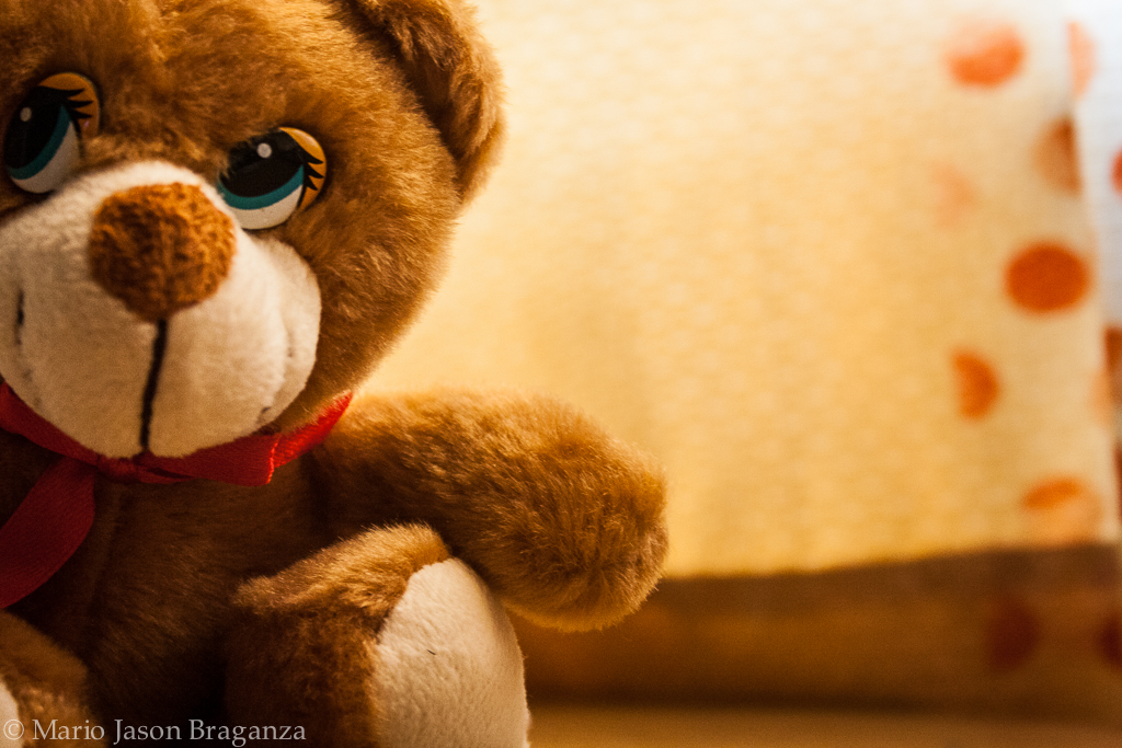 Daisy my little soft toy