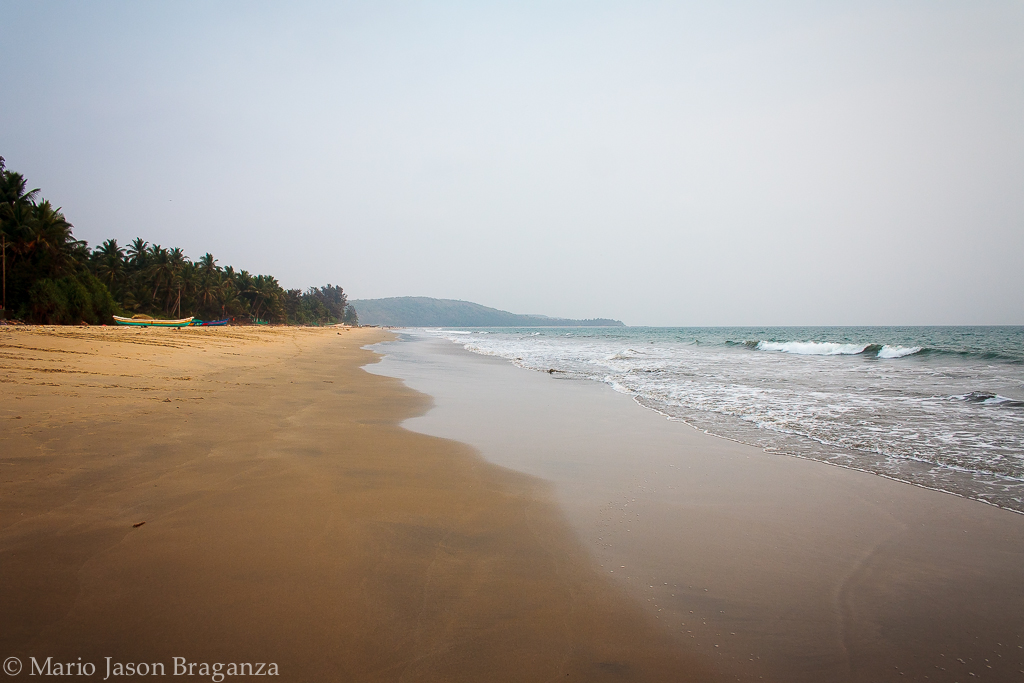Beach Photo!