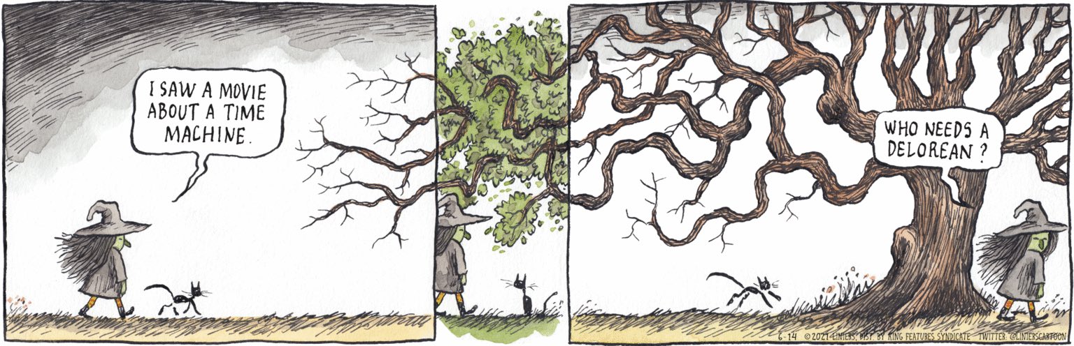 Cartoon of a pretty witch desipising Deloreans as time machines, when she knows trees are the real ones