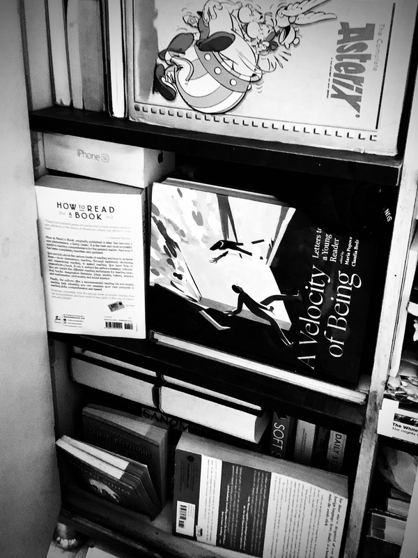 lots of books in three shelves